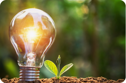 A glowing light bulb and a green plant, symbolizing solar and battery energy solutions